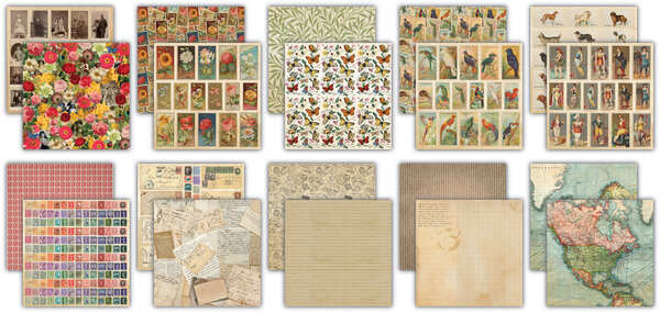 Craft Consortium The Collector 12x12 Inch Premium Paper Pad (CCEPAD038)