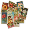 Craft Consortium The Collector Ephemera Flowers (30pcs) (CEEPH003) Craft Consortium The Collector Ephemera Flowers (30pcs) (CEEPH003)