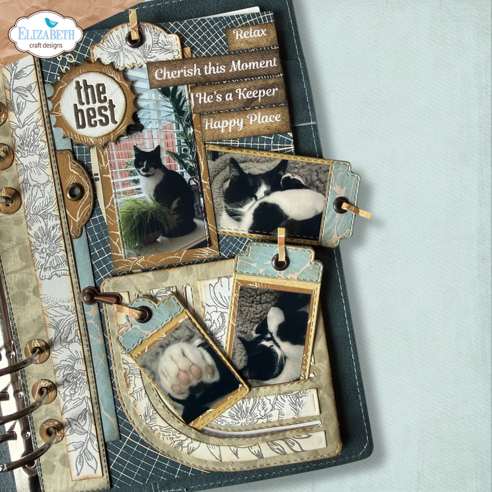 Elizabeth Craft Designs Delightful Discovery Die Rounded Pocket with Tags (2337)