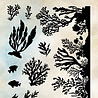 Studio Light Tide of Hope Clear Stamp Seaweed & Coral (JMA-TH-STAMP932)