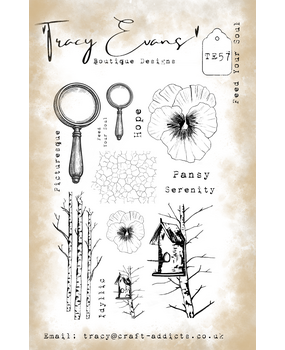 Tracy Evans Feed Your Soul A5 Stamp (TE057)