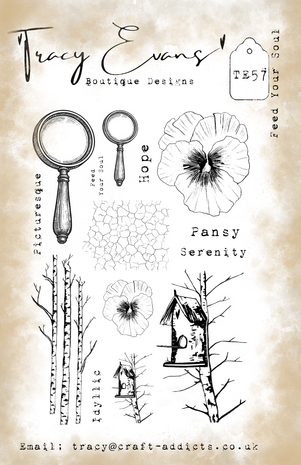 Tracy Evans Feed Your Soul A5 Stamp (TE057)