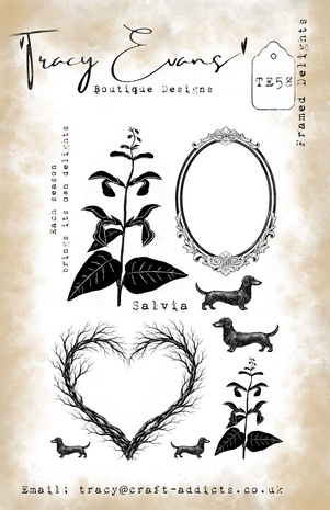 Tracy Evans Framed Delights A5 Stamp (TE058)