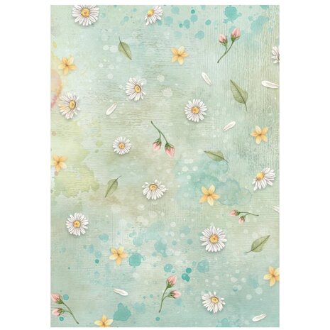 Stamperia Daisy Art A6 Rice Paper Backgrounds (8pcs) (DFSAK6050)
