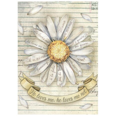 Stamperia Daisy Art A6 Mini Rice Paper (8pcs) (DFSA6X04)