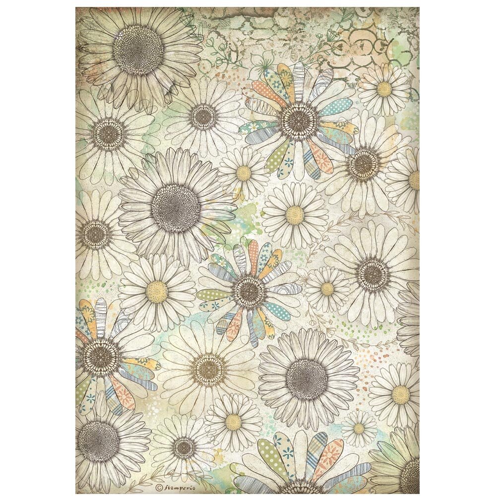 Stamperia Daisy Art A4 Rice Paper Stylized Daisy Pattern (6pcs) (DFSA41096)