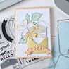 Sizzix Clear Stamps w/Framelits Die by 49 & Market Tag It (6+17pcs) (667064)
