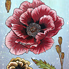 IndigoBlu Giant Poppy A5 Red Rubber Stamp (IND1490)
