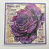 IndigoBlu Giant Rose A5 Red Rubber Stamp (IND1488)