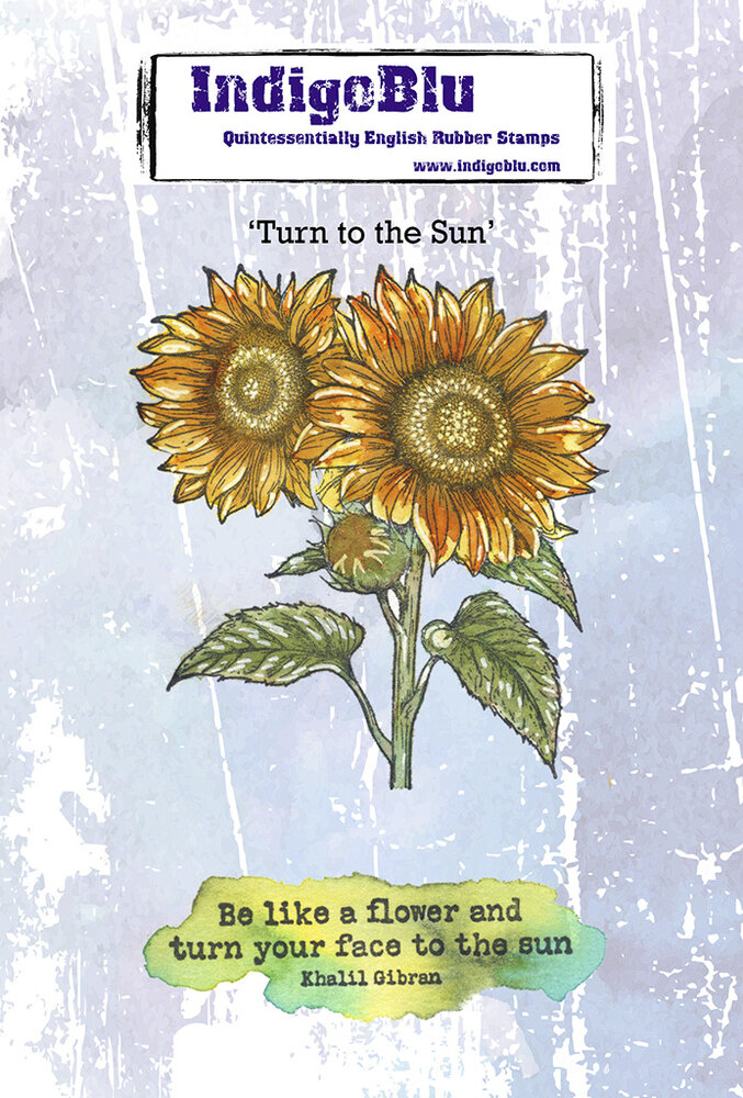 IndigoBlu Turn to The Sun A6 Red Rubber Stamp (IND1489)
