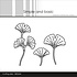 Ginkgo Leaves Dies (SBD634)