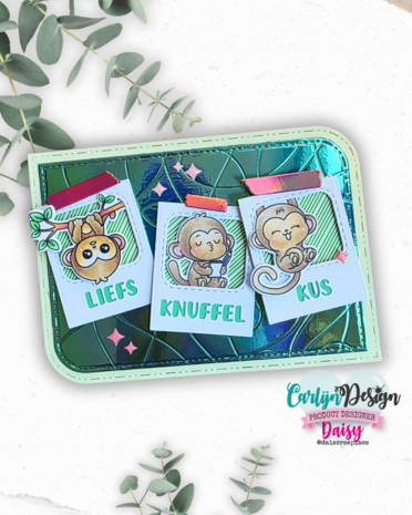 CarlijnDesign Hot Foil A6 Wires (CDHF-0086)