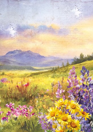 Ciao Bella Yellowstone A5 Rice Paper Mixed (8pcs) (CBRS033) Ciao Bella Yellowstone A5 Rice Paper Mixed (8pcs) (CBRS033)