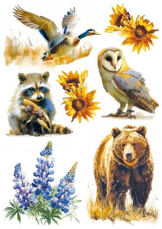 Ciao Bella Yellowstone A5 Rice Paper Mixed (8pcs) (CBRS033) Ciao Bella Yellowstone A5 Rice Paper Mixed (8pcs) (CBRS033)