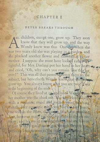 Ciao Bella Neverland A5 Rice Paper Mixed (8pcs) (CBRS032) Ciao Bella Neverland A5 Rice Paper Mixed (8pcs) (CBRS032)