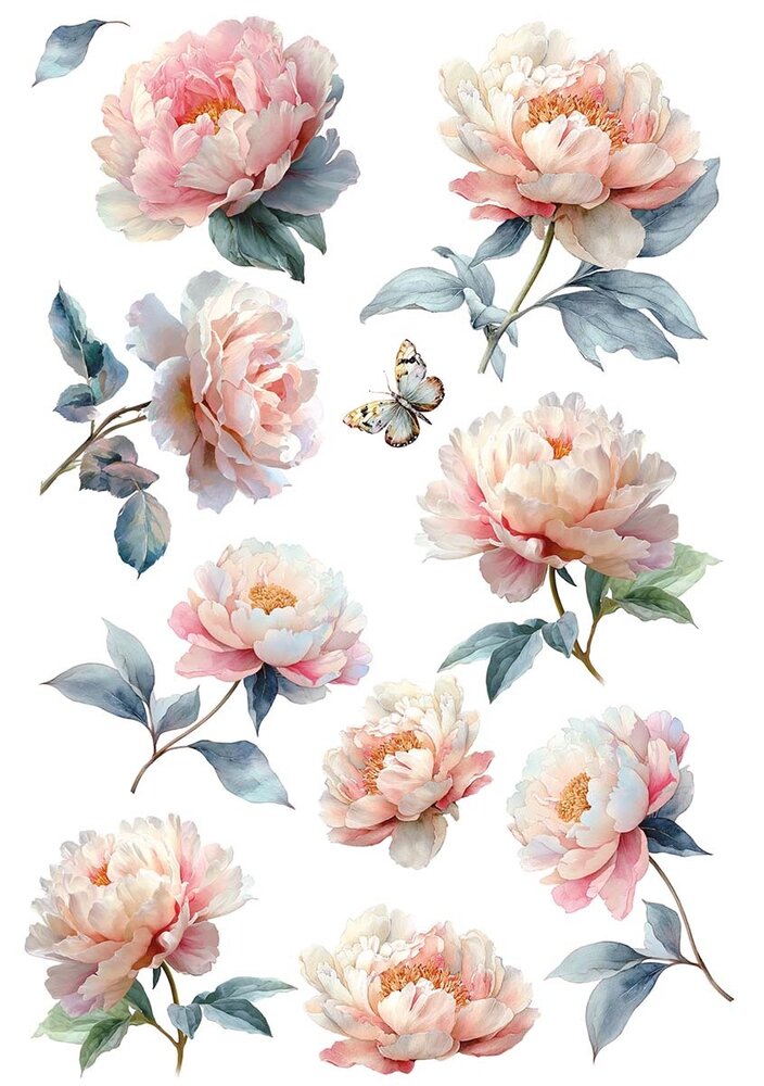 Ciao Bella Afternoon Tea A5 Rice Paper Mixed (8pcs) (CBRS031) Ciao Bella Afternoon Tea A5 Rice Paper Mixed (8pcs) (CBRS031)