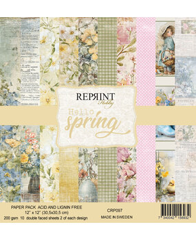 Reprint Hello Spring 12x12 Inch Paper Pack (CRP097)