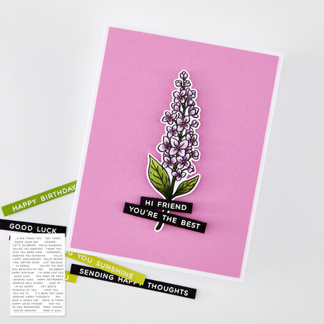 Hero Arts Spring Meadow Clear Stamp Set Everyday Sentiment Strips 2 (CM841)