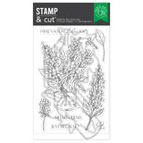 Hero Arts Spring Meadow Stamp & Cut Set No One Lilac You (DC344)