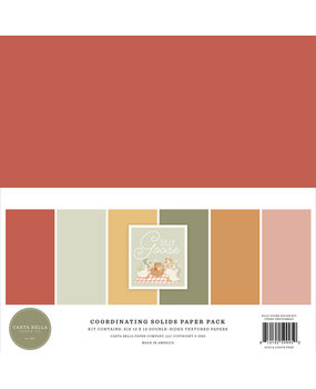 Carta Bella Silly Goose 12x12 Inch Coordination Solids Paper Pack (CBGOO488015)