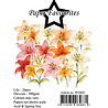 Paper Favourites Die-Cuts A7 Lily (26pcs) (PFD041)