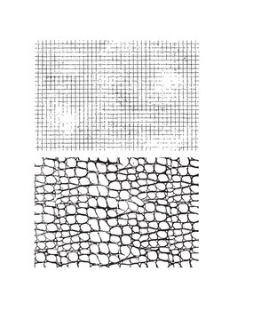 Stampers Anonymous Graph & Croc Tim Holtz Cling Stamps (CMS185)