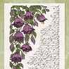 Studio Light Enchanted Fairytale Clear Stamps Floral & Script (SL-EF-STAMP940)