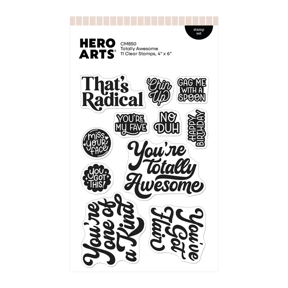 Hero Arts Friends With Flair Stamp Set Totally Awesome (CM850) Hero Arts Friends With Flair Stamp Set Totally Awesome (CM850)