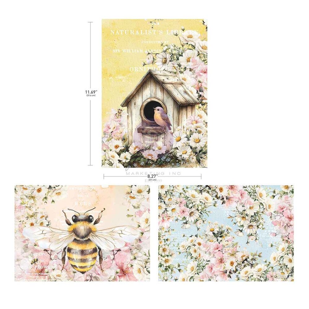 Prima Marketing Among the Wildflowers A4 Decoupage (3pcs) (682293) Prima Marketing Among the Wildflowers A4 Decoupage (3pcs) (682293)