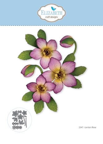 Elizabeth Craft Designs Beautiful Blooms Die Lenten Rose by Paper Flowers (2347)