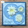 Elizabeth Craft Designs Beautiful Blooms Die Stitched Squares and Circles by Paper Flowers (2350)
