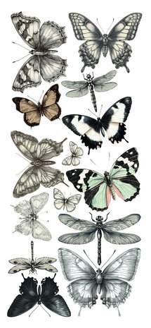 Ciao Bella Typographic Transparent Adhesive Sheets (5pcs) (CBI014) Ciao Bella Typographic Transparent Adhesive Sheets (5pcs) (CBI014)