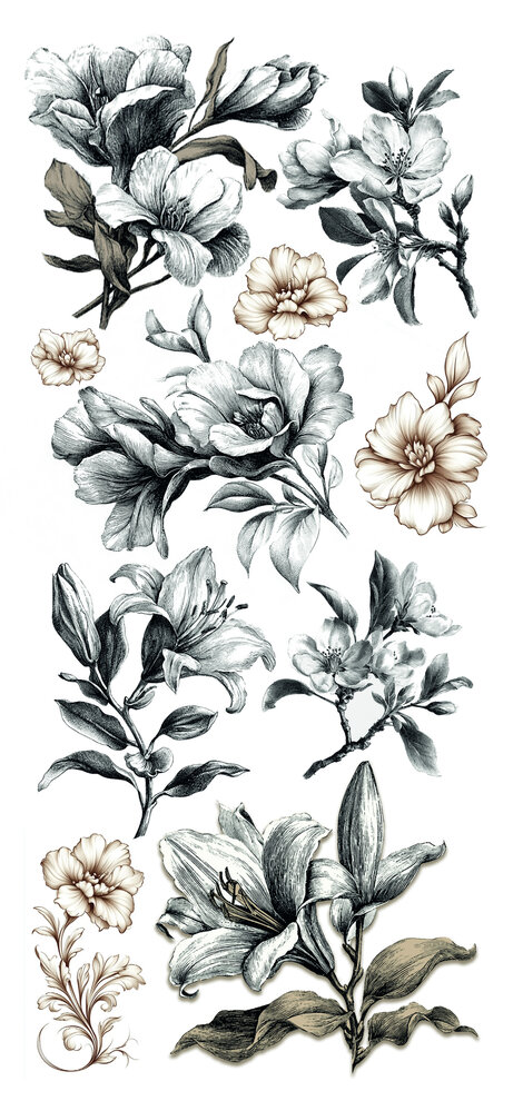 Ciao Bella Typographic Transparent Adhesive Sheets (5pcs) (CBI014) Ciao Bella Typographic Transparent Adhesive Sheets (5pcs) (CBI014)