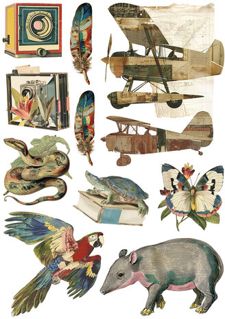 Ciao Bella Jungle Vibes A5 Rice Paper Mixed (8pcs) (CBRS041) Ciao Bella Jungle Vibes A5 Rice Paper Mixed (8pcs) (CBRS041)