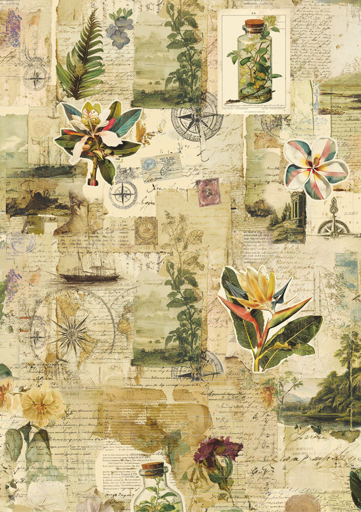 Ciao Bella Jungle Vibes A5 Rice Paper Mixed (8pcs) (CBRS041) Ciao Bella Jungle Vibes A5 Rice Paper Mixed (8pcs) (CBRS041)