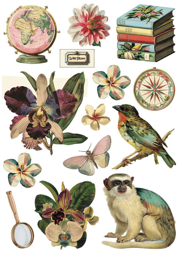 Ciao Bella Jungle Vibes A5 Rice Paper Mixed (8pcs) (CBRS041) Ciao Bella Jungle Vibes A5 Rice Paper Mixed (8pcs) (CBRS041)