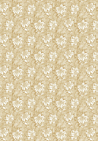 Ciao Bella Typographic A4 Deluxe Paper Pearl Copper & Vellum Dual Pack Mixed (6pcs) (CBX008)