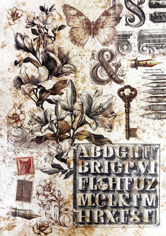 Ciao Bella Typographic A4 Deluxe Paper Pearl Copper & Vellum Dual Pack Mixed (6pcs) (CBX008)