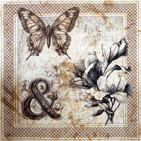 Ciao Bella Typographic 6x6 Inch Deluxe Paper Pearl Copper & Vellum Dual Pack Mixed (6pcs) (CBXQ008)