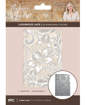 Crafter's Companion Antique Lace 6x4 Inch 3D Embossing Folder Lace Panel (SS-AL-3D-EF4-LUXLA)