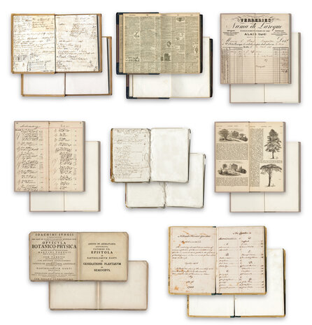 Arden Creative Studio Vintage Makers Bookmakers Ephemera Pack by Katie Pertiet (ACSEP0013)