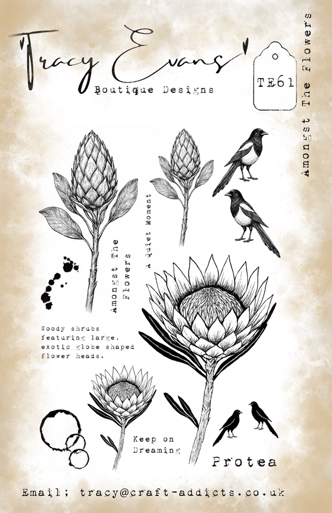 Tracy Evans Amongst The Flowers A5 Stamp (TE061)