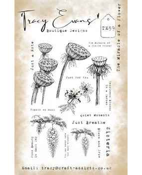 Tracy Evans The Miracle Of A Flower A5 Stamp (TE059)