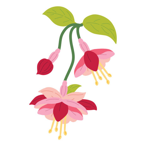 Spellbinders Magical Fuchsia Etched Dies by Alex Syberia (S3-574)