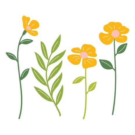 Spellbinders Poppy Song Etched Dies Leaf & Bloom (S4-1512)