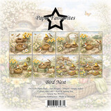 Paper Favourites Bird Nest 6x6 Inch Paper Pack (PF577)