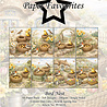 Paper Favourites Bird Nest A6 Paper Pad (PFA618)