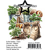 Paper Favourites Die-Cuts A7 In the Garden (31pcs) (PFD049)