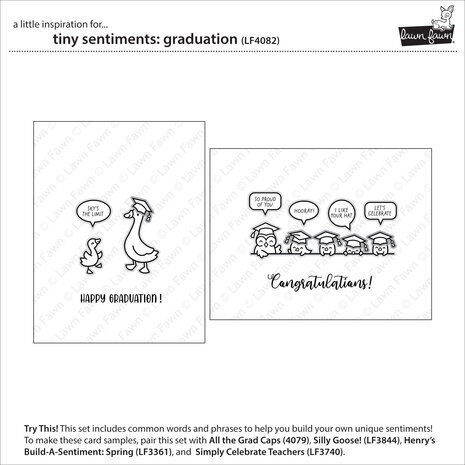 Lawn Fawn Tiny Sentiments Graduation Clear Stamps (LF4082)