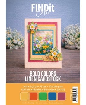 Find It Linen Cardstock A5 Bold Colors (75pcs) (FITCBA5008)